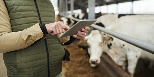 Сельхозперепись в Кыргызстане перенесли на весну 2026 года изображение публикации