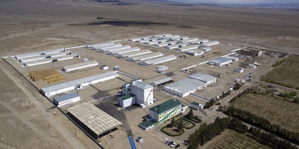 Когда границы закрыли — открылась точка продовольственной опоры изображение публикации