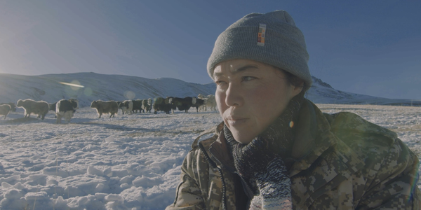 Документальный фильм из Кыргызстана о женщине-фермере получил премию фестиваля «Агрофильм» изображение публикации