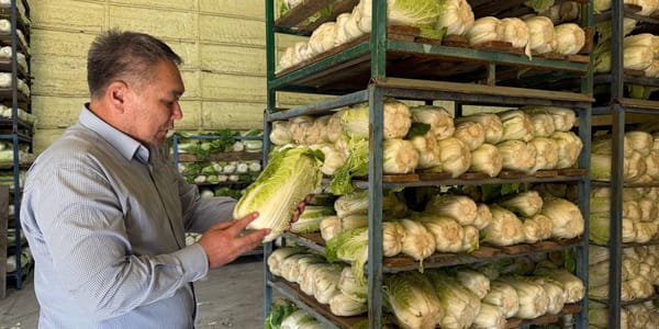 Кимчи, кактуги, танмучи: «Айджен Компани» возобновит производство корейских салатов в КР