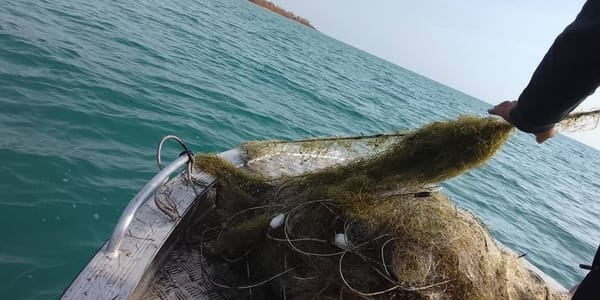 Инспекторы экотехнадзора очистили акваторию Иссык-Куля от 1.6 км незаконных сетей изображение публикации