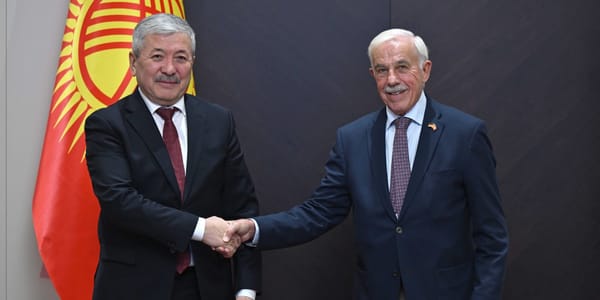 КР и Германия готовы реализовать новые совместные проекты в сфере бизнеса и образования изображение публикации