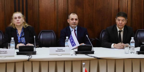 ОБСЕ планирует направить 330 наблюдателей на выборы в ЖК изображение публикации