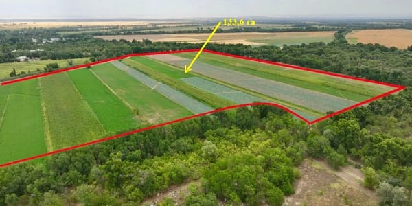 Сельхозземли в Сокулукском районе, возвращенные государству. Фото: ГКНБ.