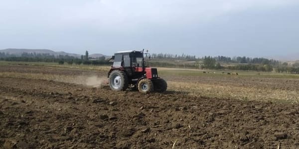 В Аксыйском районе засеяно 1.2 тысячи га озимой пшеницы изображение публикации