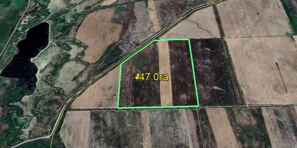 Государству вернули 278 га сельхозземель в Панфиловском районе Чуйской области. Фото: ГКНБ.