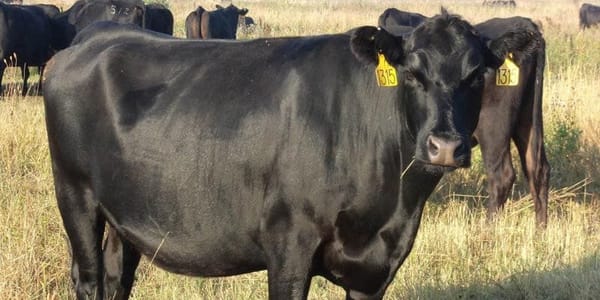 Для развития сельского хозяйства фермерам выдают льготные кредиты под 3% годовых изображение публикации