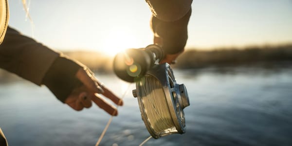 В Кыргызстане на три года запретили вылов рыбы в семи водохранилищах изображение публикации