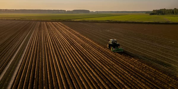 Где провести анализ почвы перед посевом — адреса лабораторий Минсельхоза изображение публикации