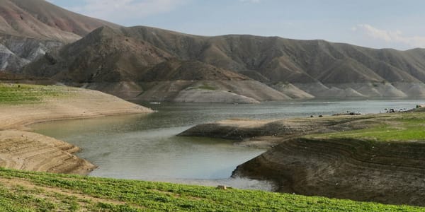 В Кыргызстане 15 водоемов выставлены на конкурс под рыбоводство изображение публикации