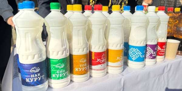 «Ала-Тоо Амир» перерабатывает 3 тысячи тонн молока в год — в планах запуск нового завода изображение публикации