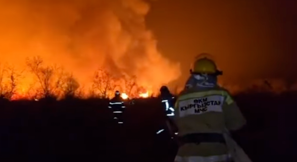 Крупный пожар под Токмоком ликвидирован, пострадавших нет изображение публикации