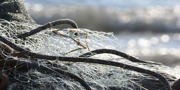 Спасатели МЧС извлекают браконьерские сети со дна озера
