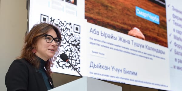 International experts trained Kyrgyz banks in ESG tools.