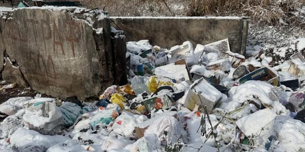 В Новопокровке обнаружили стихийную свалку бытовых отходов изображение публикации