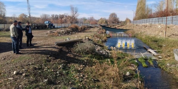 В Таласе рыбные хозяйства незаконно использовали дренажные системы изображение публикации