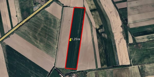 ГКНБ вернуло государству 26.43 гектара земли по делу ОПГ Камчы Кольбаева изображение публикации