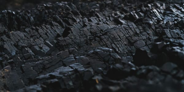 Где купить уголь в Бишкеке: список баз и точек продаж изображение публикации