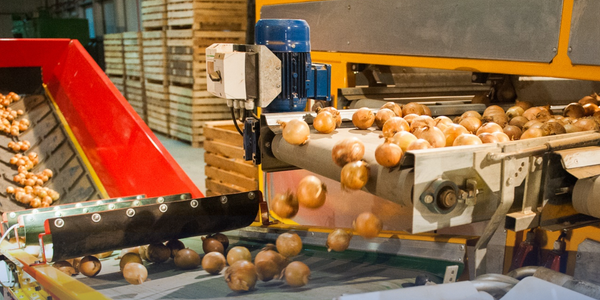 Объединенные товаропроизводители КР получили 108.5 млн сомов льготных кредитов изображение публикации