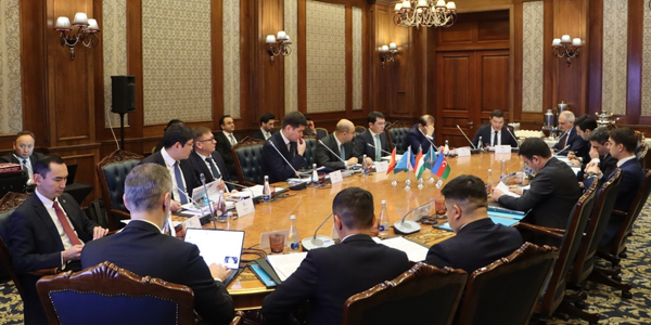 Тюркский инвестфонд с капиталом в $600 млн начнет финансирование проектов в 2026 году