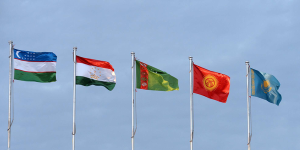 Страны Центральной Азии создадут региональную платформу для развития МСУ изображение публикации
