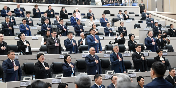 Депутаты ЖК создали пять групп и избрали торага — подробности изображение публикации