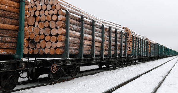 Кабмин КР на полгода ввел запрет на вывоз древесины и лесоматериалов за пределы ЕАЭС