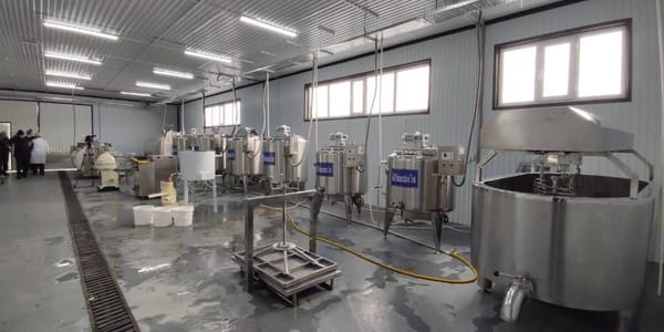 В Ак-Талинском районе открыт молокоперерабатывающий цех изображение публикации