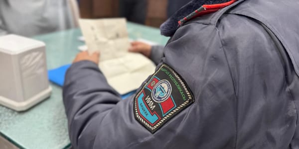 За ноябрь–декабрь МВД оштрафовало иностранцев на 300 тысяч сомов изображение публикации