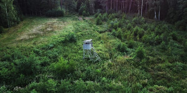 Минприроды объявило конкурс на 525 тысяч га охотугодий в Таласской и Ошской областях изображение публикации