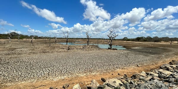 ООН предупреждает: мировой водный кризис продолжает усиливаться