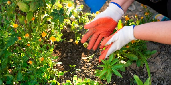 Риски реэкспорта: в КР предлагают временно запретить вывоз минеральных удобрений изображение публикации