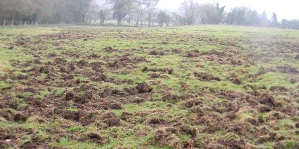 Штраф до 8.5 млн сомов: в Минсельхозе предупредили об ответственности за порчу земель изображение публикации