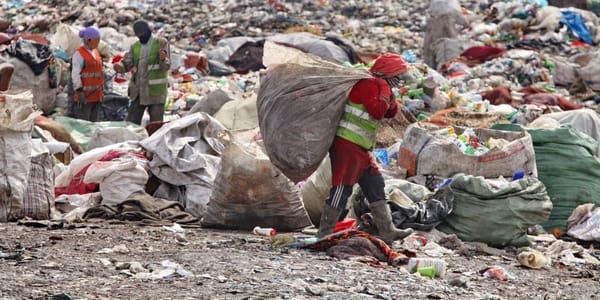Отходы в доходы: сборщиков со свалки Бишкека трудоустроят официально изображение публикации