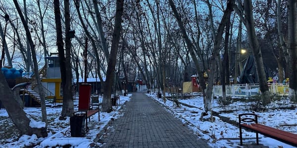 Мэр Оша поручил высадить 5 тысяч деревьев в парке Навои изображение публикации