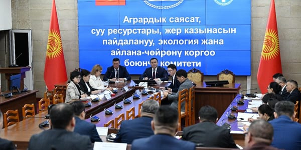 Комитет ЖК одобрил ратификацию кредита на $30 млн по проекту «Единое здоровье» изображение публикации