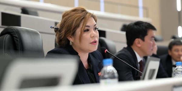 Депутаты ЖК предложили передать центральный парк в Канте мэрии города изображение публикации