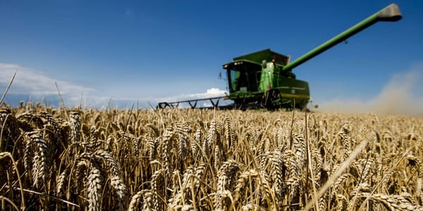 Минсельхоз профинансировал агросектор на 11.3 млрд сомов по итогам 2025 года изображение публикации