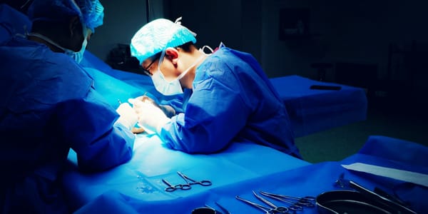 Медтуризм в КР: почему россияне выбирают местную пластическую хирургию изображение публикации