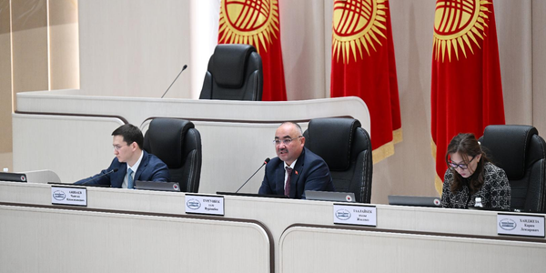 Спикер ЖК призвал исполнительную власть прекратить критиковать депутатов изображение публикации