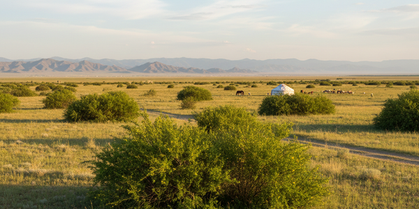 В КР подготовили методику экспресс-оценки пастбищ изображение публикации