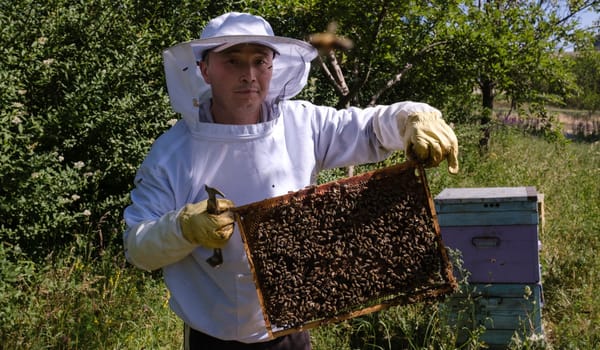 Фото: Международная организация по миграции (МОМ).
