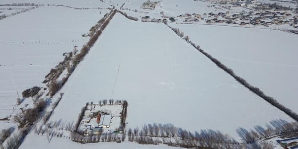 В Караколе государству вернули около 30 га сельхозземель на 22 млн сомов изображение публикации