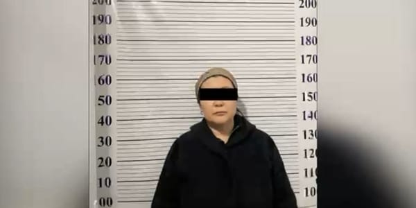 «Черный ломбард» на дому: в Манасе задержали женщину за займы под 15% в месяц изображение публикации