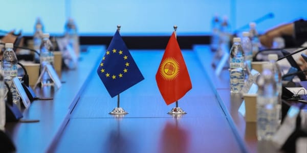 Инфраструктура, инвестиции и Global Gateway: о чем говорили ЕС и МИД Кыргызстана изображение публикации