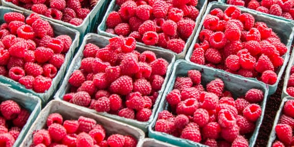 Малиновый Кыргызстан: как занять нишу «красного золота» на фоне мирового кризиса изображение публикации