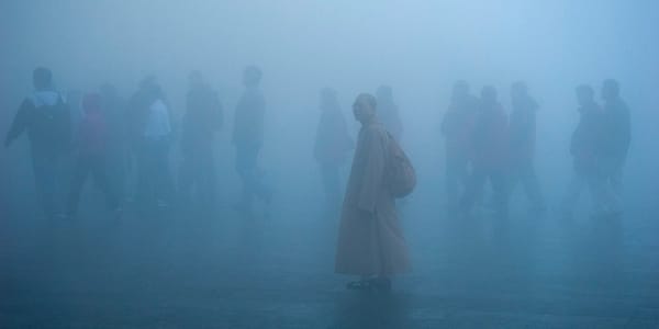 Уголь, старые авто и ТЭЦ: из-за чего Бишкек задыхается зимой, обсудили в ЖК изображение публикации