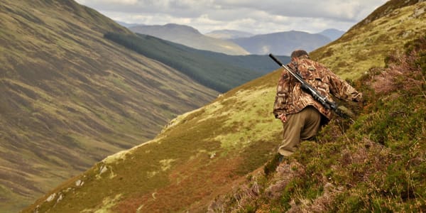 Минприроды КР выставило на конкурс 2.29 млн га охотничьих угодий в Иссык-Кульской области изображение публикации