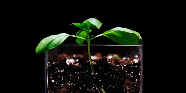 Где в КР сдать почву на анализ — номера для аграриев изображение публикации