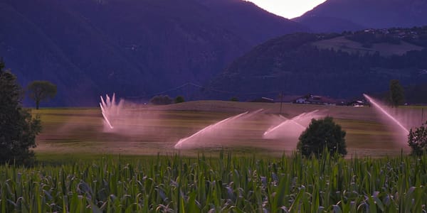 В Сокулуке к весенним работам подготовили 38 тысяч га — Торобаев проверил изображение публикации